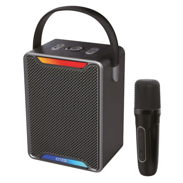 ENZO  E-S29 SPEAKER